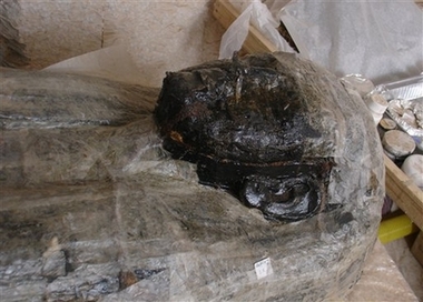 Вместо мумии археологи обнаружили гирлянду цветов (гробница KV-63)